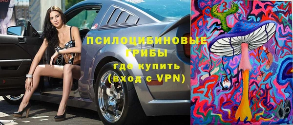 прущая мука Арсеньев
