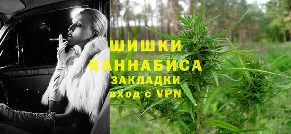 крисы Аркадак