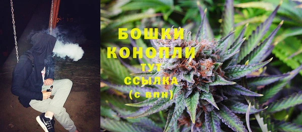 крисы Аркадак