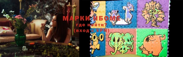 крисы Аркадак